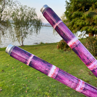 Bouteille en plastique créative jetable de 650 ml en canne à sucre violette pour boissons et jus, vente en gros directe usine