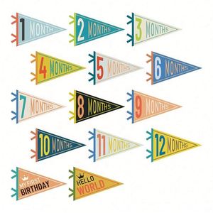 Bandera Triangular de Fieltro Personalizada con Logotipo Sublimado, para Cumpleaños de Bebés, al por Mayor, Precio Bajo, Alta Calidad - Product Image 2