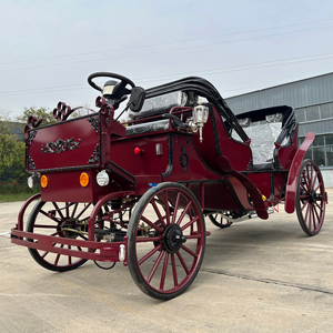 Carruaje de Caballos de Alta Calidad con 4 Ruedas, Carruaje de Caballos para Maratón en Venta, Carruaje Eléctrico de Lujo para Bodas - Product Image 1