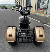 Triciclo Eléctrico de 3 Ruedas de 4000w de Potencia, Directo de Fábrica, para Adultos, con Gran Autonomía de 50-60km, Motocicleta Eléctrica de 3 Ruedas