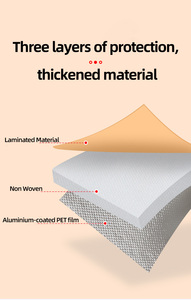 थोक गैर-winviven बैग लैमिनेटेड कूलर बैग अनुकूलित लोगो वाटरप्रूफ भोजन वितरण बैग - Product Image 4