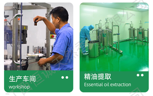 A granel 99% Extracto de <span class=keywords><strong>planta</strong></span> de eugenol entrega rápida con muestra gratis que contiene lavanda té árbol naranja clavo - Product Image 5