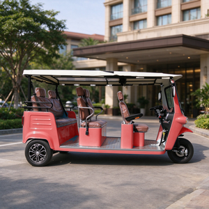 Triciclo Elettrico EEC COC 5+ Posti 72V250Ah 7.5kW 160-180km per Turismo nel Sud-Est Asiatico - Product Image 4