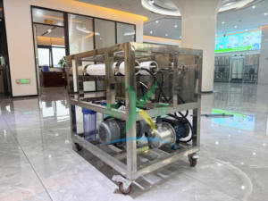 Pequeño equipo de desalinización de agua de mar 1000LPD Máquina de tratamiento de desalinización de agua salada de ósmosis inversa adecuada para Isla - Product Image 4