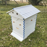 Ruche automatique à prix d'usine OEM et 7 cadres automatiques Ruche d'abeilles auto-automatique enduite de cire de sapin de Chine