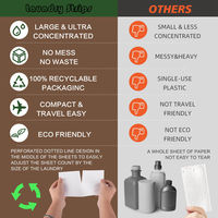 Feuilles de lessive écologiques Formule enzymatique végétale Emballage sans plastique Fabricant OEM