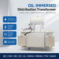 Transformateur de distribution triphasé immergé dans l'huile 34,5 kV 0,48 kV Cuivre ONAN Corrugated