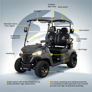 Carrito de Golf Eléctrico de 48V 5KW, Metálico, con Certificación CE, de 2 Plazas, Color Negro, con Diferencial en el Eje Trasero de Aluminio - Product Image 1
