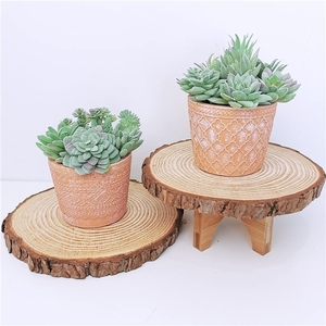 LUYI - Plantas Suculentas Artificiales de Plástico, 11 Piezas, <span class=keywords><strong>Mini</strong></span> Suculentas Artificiales, Echeveria, <span class=keywords><strong>Agave</strong></span>, Surtido de Plantas Verdes Artificiales Colgantes - Product Image 4