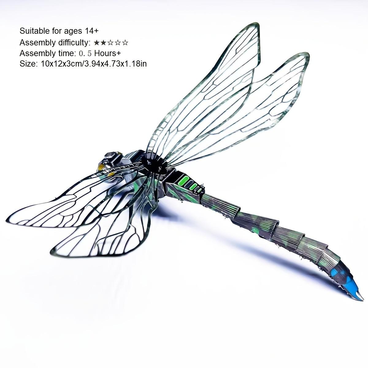 แมลงปอสีสันสดใสรุ่นใหม่