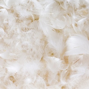 Tùy chỉnh RDS chứng nhận vịt xuống và lông điền 30% xuống 70% lông rửa điền cho khách sạn chất lượng <span class=keywords><strong>comforters</strong></span> - Product Image 5