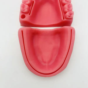 बोका और मसूड़ों के चिकित्सा विज्ञान उत्पाद सिलाई ब्लॉक मॉडल के साथ मौखिक सूइटिंग - Product Image 5