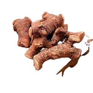 Rizoma de Galangal Seco Entero, Hierba Calentadora China, Especias Aromáticas para Cocinar, Especias Picantes para Aderezos Tom Yum - Product Image 1