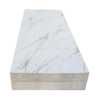 Plaques adhésives de vente chaude de 3mm pour le panneau d'intérieur léger de PVC du marbre 4x8 de PVC de salon