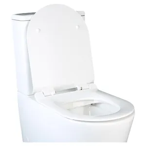 Best-selling Western Bathroom sanitary ware wc toilet chinese toilet ceramic toilet
