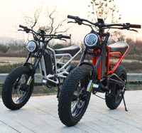 Usine en gros gros pneu vélo 20 pouces roue taille E vélo neige adulte 750W moto en stock américain moteur de cross-country