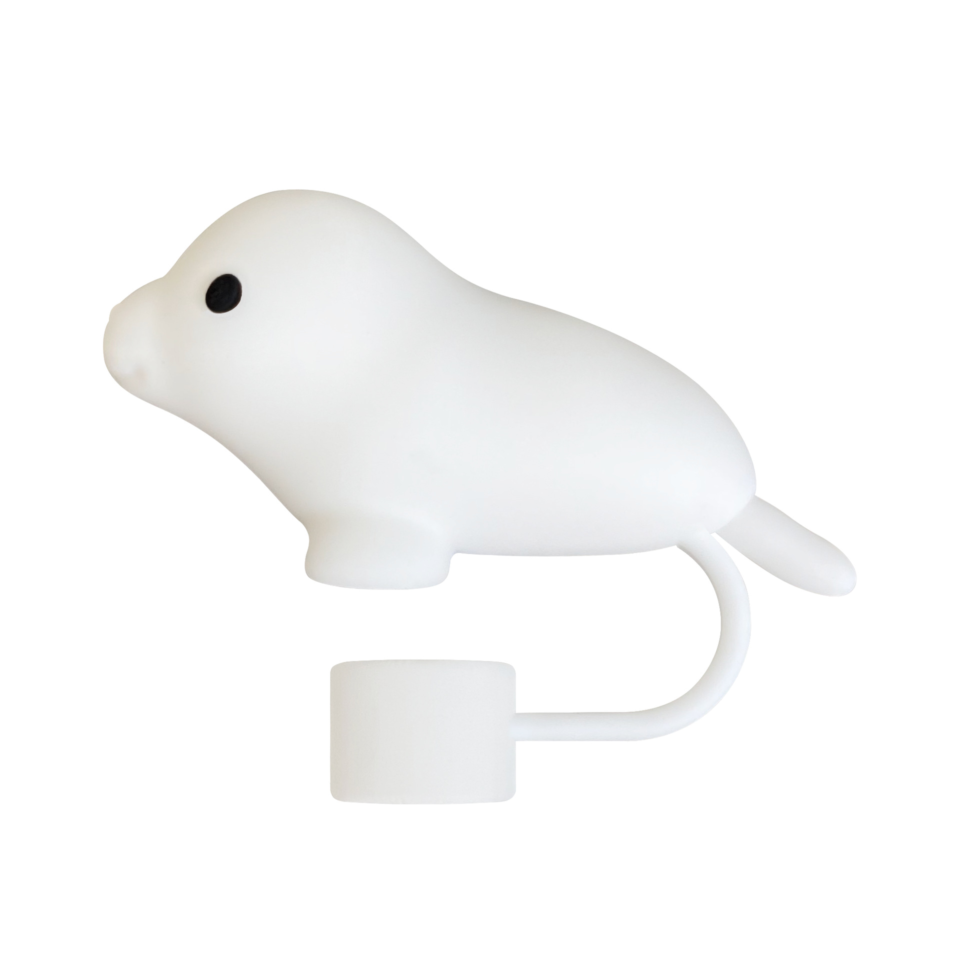 A small dolphin
