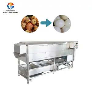 Good quality LXTP-3000 Screw washing and peeling machine potato cassava