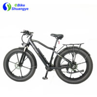 Vélo de montagne électrique 48V 500W, cadre en alliage d'aluminium, moteur arrière sans balais, batterie au lithium, frein à disque, vélo électrique