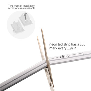 Feican 24V <span class=keywords><strong>LED</strong></span> Neon dải ánh sáng dual-nhiệt độ màu USB kết nối điều khiển bằng giọng nói chiếu sáng trong nhà trang trí đèn nhựa - Product Image 6