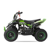 Quad mini ATV Tao Motor pas cher pour enfants, 50cc, transmission par chaîne, automatique, 2 temps, 2 roues motrices