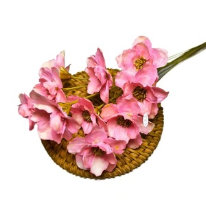 Venta al por mayor de flores secas naturales de <span class=keywords><strong>Campanula</strong></span> plantas de madera hechas a mano para la decoración del hogar y aromaterapia para graduación y Pascua - Product Image 3