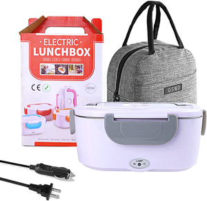 Portable 110V 12V 60W 80W Electric