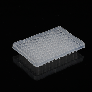 Pabrik Pabrik laboratorium transparan sekali pakai 96 Well <span class=keywords><strong>Pcr</strong></span> Plate 0.2mm untuk budaya sel dengan Hem - Product Image 2