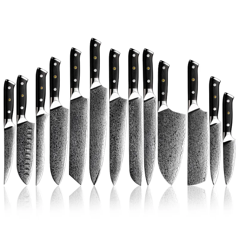 Cuchillo de Damasco profesional AUS10, juego de cuchillos de cocina japoneses de 67 capas, para deshuesar, Kiritsuke, Damasco