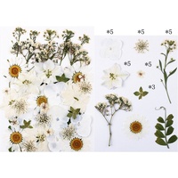 Pack de fleurs séchées assorties 40 pièces, couleurs variées pour la résine, la bijouterie, les cadres, l'art, les fournitures artisanales botaniques séchées