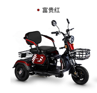 Vélo électrique 48V 1000W avec moteur arrière sans balais, vélo de ville électrique à 3 roues en alliage d'aluminium, batterie au plomb-acide
