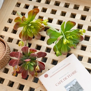 Plante succulente artificielle Lotus bleu, vert clair, rouge foncé, en plastique, pour décoration de mariage, décoration murale pour la maison - Product Image 1