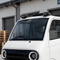 Camionnette électrique directement de l'usine, véhicule utilitaire électrique 4 roues pour adultes, véhicule utilitaire agricole, camion électrique 2 portes