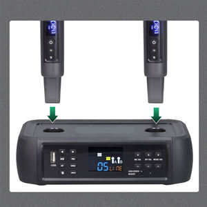 Microphone sans fil multi-canaux DSP avec entrée <span class=keywords><strong>optique</strong></span>, anti-larsen et anti-retour, pour le chant à domicile - Product Image 6