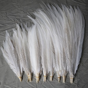 Vente en gros de plumes de faisan argenté de 15 à 80 cm, plumes de faisan blanc pour costumes de <span class=keywords><strong>carnaval</strong></span>, décoration de performance de samba - Product Image 4