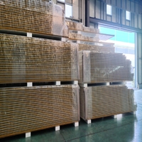 Panneau externe de panneau "sandwich" de mousse de polyuréthane de bon effet d'isolation de PUR/PIR de Chine