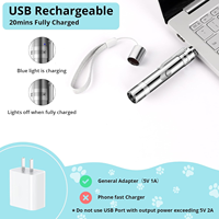 Vente en gros d'usine : Jouet d'entraînement pour chat et chien, écologique, avec lumière LED, baguette laser interactive USB pour animaux de compagnie, en métal