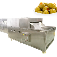 Industriële Fruitkern Zaadverwijderingsmachine Olijfpitmachine Pruimenverwerkingsmachines Fabrieksprijs