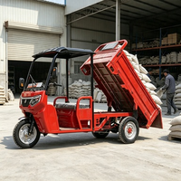 Yüksek Kaliteli Elektrikli Üç Tekerlekli Kargo Trikesi, Tavanlı Kabinli, CE Sertifikalı, Yetişkinler İçin Teslimat Kullanımına Uygun Elektrikli Üç Tekerlekli Araç