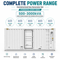Groupe électrogène conteneurisé 200kW 300kW 1000kW à faibles émissions, conception écologique pour les projets de protection de l'environnement urbain
