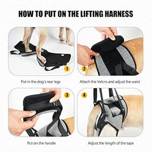 Tali gendongan anjing peliharaan <span class=keywords><strong>Senior</strong></span>, dengan bantalan, menangani mereka, <span class=keywords><strong>Harness</strong></span> kerja untuk rehabilitasi anjing, baju operasi cacat - Product Image 6