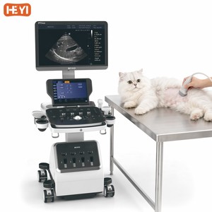 Sistema de Diagnóstico por Ultrasonido Veterinario Profesional Clase II para Clínicas de Gatos HEYI P70vet, Sonda Microconvexa Doppler a Color de Alta Gama - Product Image 1