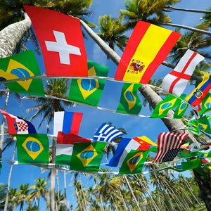 Pas cher 14*21cm <span class=keywords><strong>2022</strong></span> Fans <span class=keywords><strong>De</strong></span> Football 32 Équipe National Drapeau Étanche Monde Bunting String Drapeau pour Décoration Suspendue - Product Image 4
