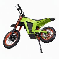Moto électrique tout-terrain à deux roues, nouveau modèle 2025, transfrontalière, sportive, prête pour la plage, légère, ultra-longue autonomie 48V