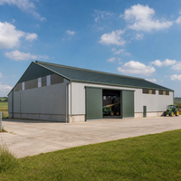 Entrepôt agricole préfabriqué en structure légère d'acier, stockage de machines, porte coulissante, sur mesure, moderne, haute résistance au vent 5