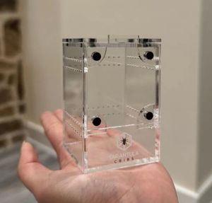 <span class=keywords><strong>Cage</strong></span> à araignées sauteuses en acrylique de petite taille avec logo et taille personnalisés - Product Image 4