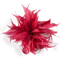 Gros Plume Corsage Tête Fleur Vêtements Coiffe Broche Plume D'oie Quill Fleur DIY