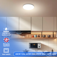 2025 plafonniers à la maison modernes nordiques couverture acrylique Ultra-mince lumen élevé LED métal de base à intensité variable IP66 évalué 3000K-6000K couleur