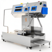 Tourniquet d'hygiène automatique SUS304 avec station de lavage et de désinfection des mains et des bottes certifiée CE pour l'entrée des ateliers de transformation de viande