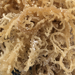 Musgo de mar de alta calidad de origen sostenible, musgo de mar seco natural, musgo de mar a granel al por mayor de Vietnam - Product Image 1